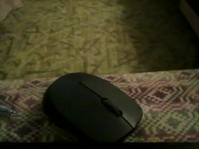 Layritta_ – Showup Live Video Recording – 2026-02-03 17:23:36