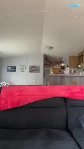 Jadebay – Camsoda Live Video Recording – 2025-05-03 12:43:03