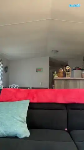 Jadebay – Camsoda Live Video Recording – 2025-07-18 06:05:44