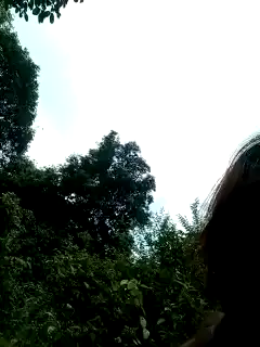 Sody_anna – Stripchat Live Video Recording – 2025-06-30 03:43:54