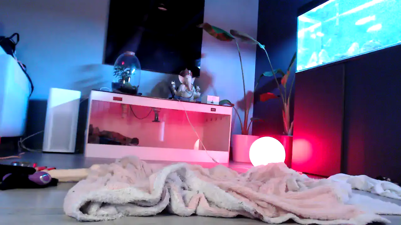 Msakira – Amateur.tv Live Video Recording – 2026-02-26 21:40:53