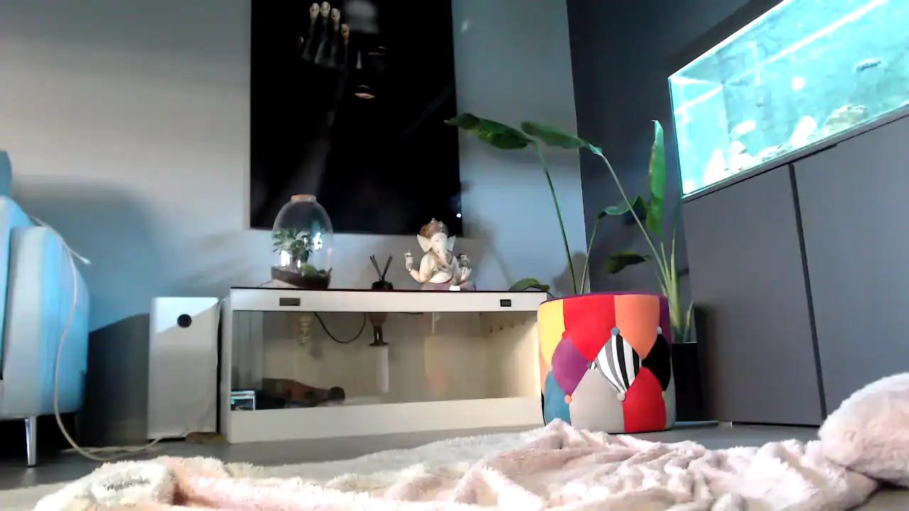 Msakira – Amateur.tv Live Video Recording – 2025-08-16 07:40:12